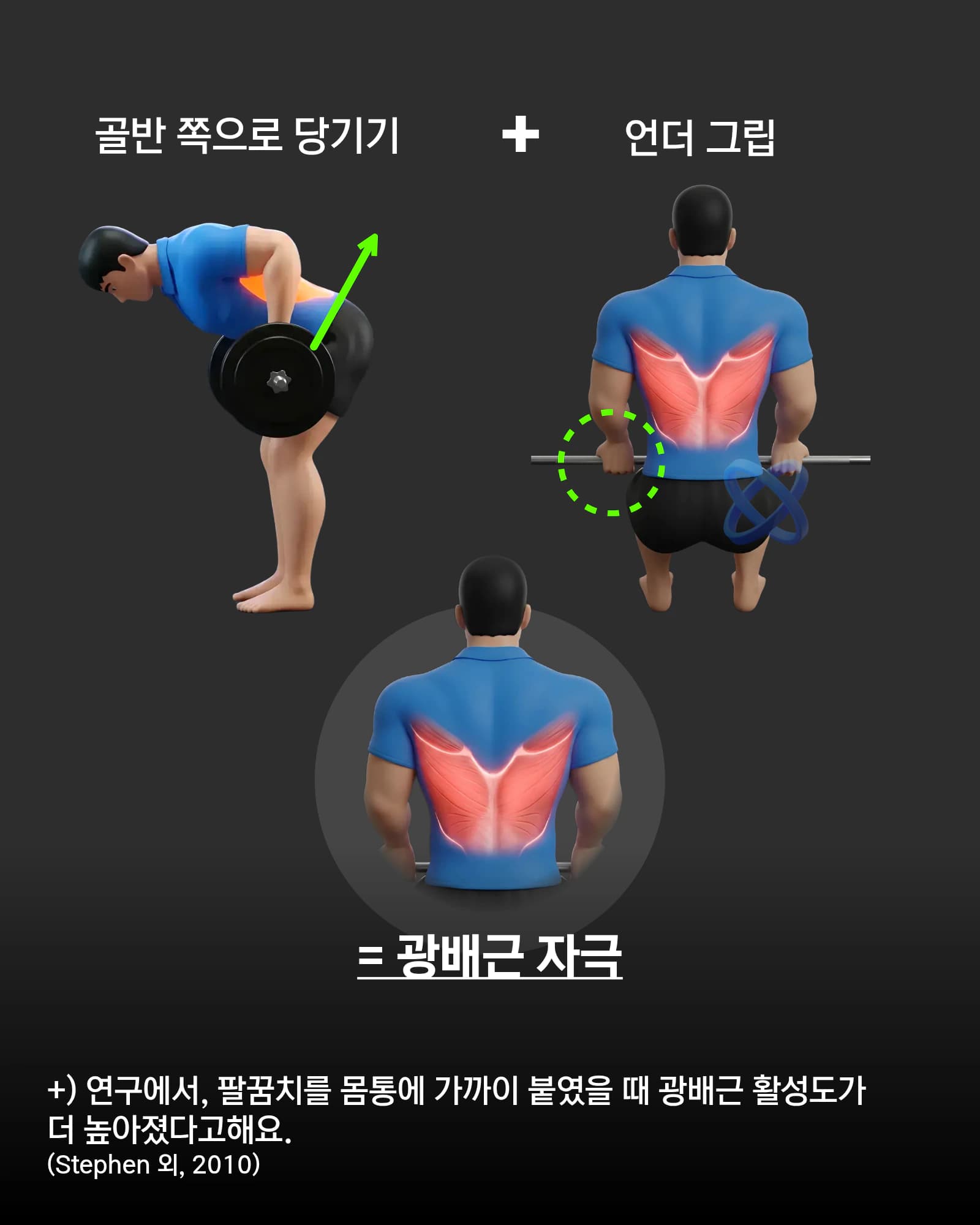 바벨로우 언더그립으로 골반 쪽 당기기 자세와 광배근 자극 부위